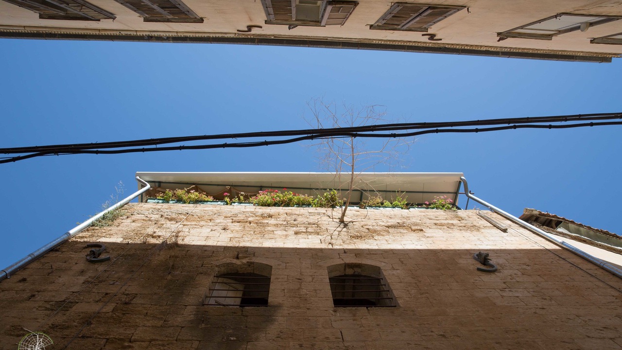 Photo of Others in Old City