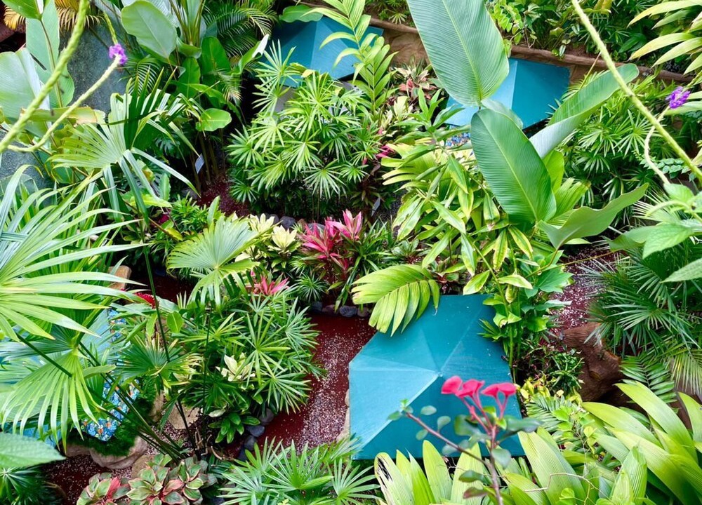 Photo of Outdoor in La Fortuna