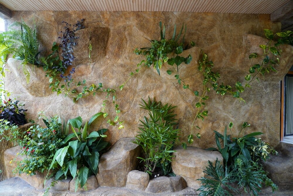 Photo of Outdoor in La Fortuna