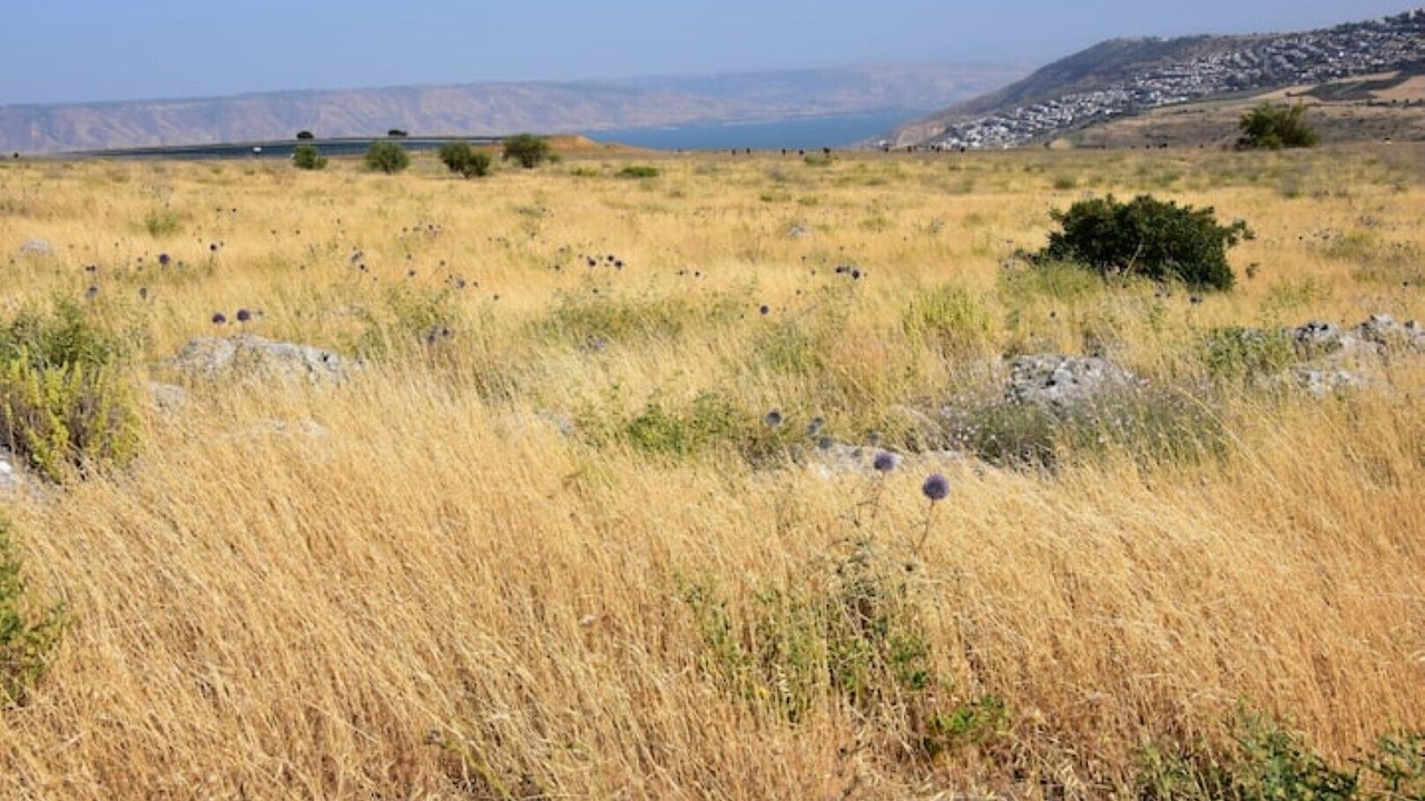Photo of Others in Tiberias