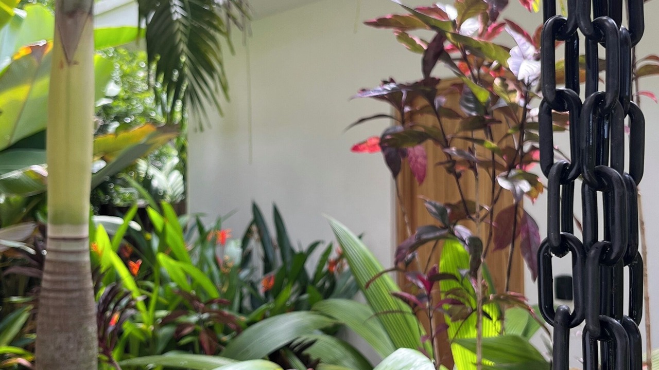 Photo of Outdoor in Santa Teresa