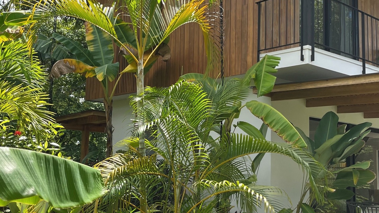 Photo of Outdoor in Santa Teresa