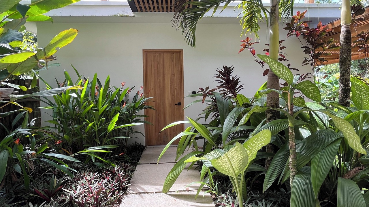 Photo of Outdoor in Santa Teresa