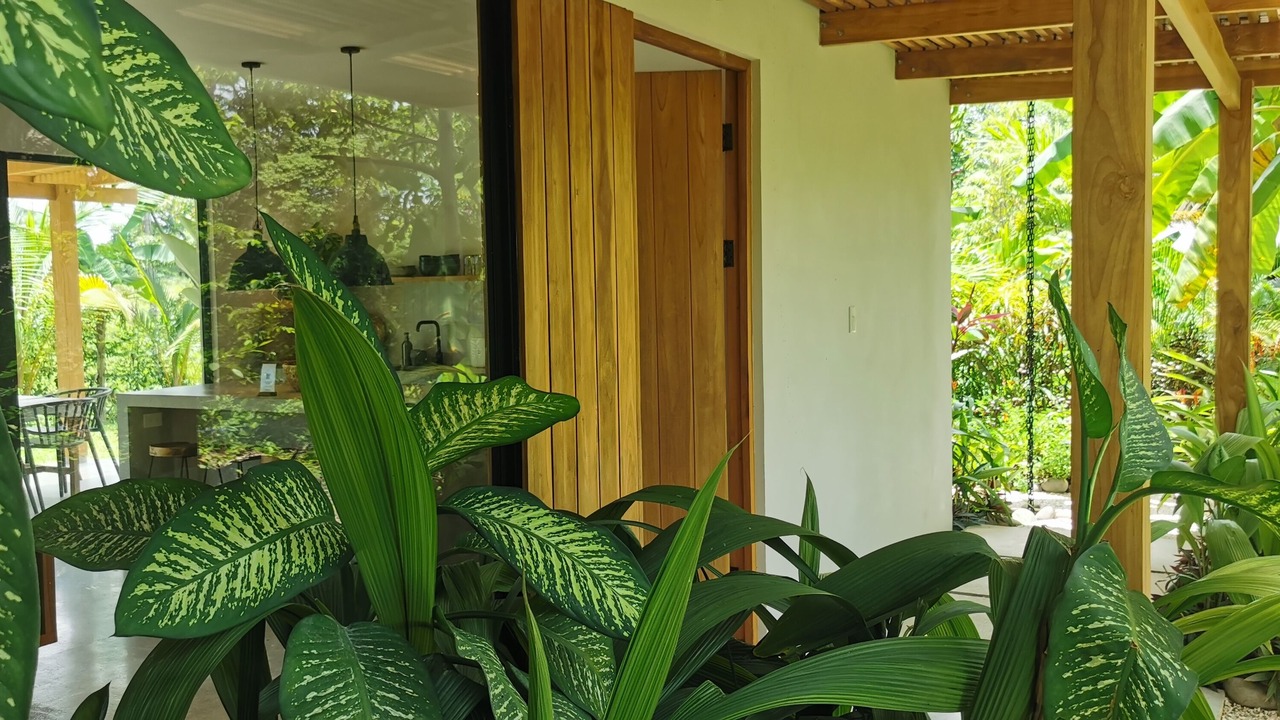 Photo of Outdoor in Santa Teresa