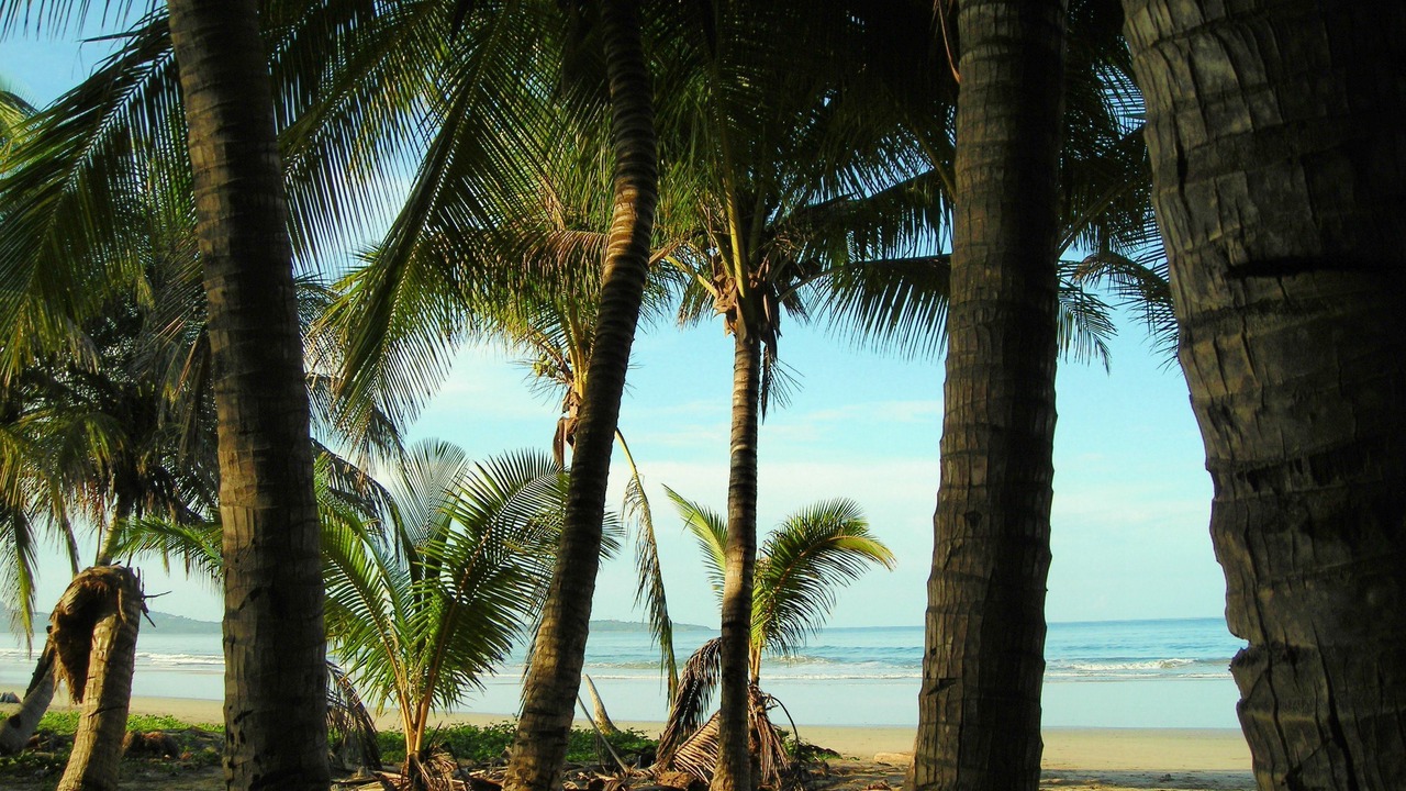 Photo of Others in Playa Grande