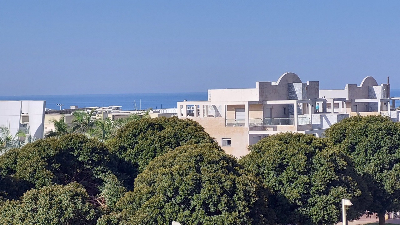 Photo of Others in Ashdod