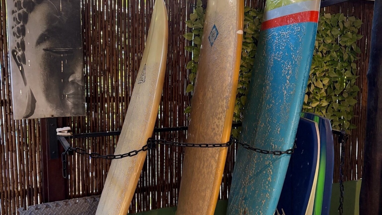 Photo of Others in Playa Grande