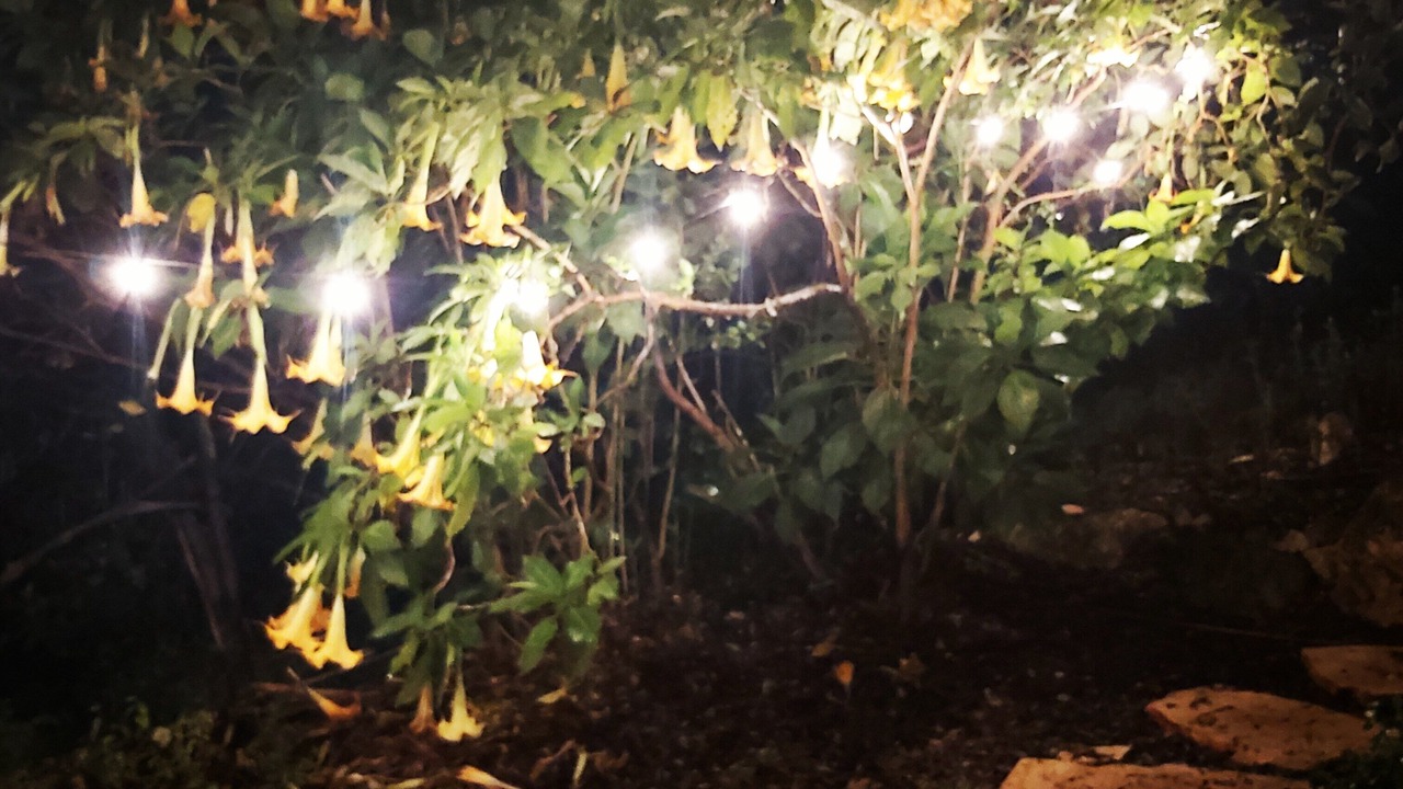 Photo of Outdoor in Kiryat Tiv'on