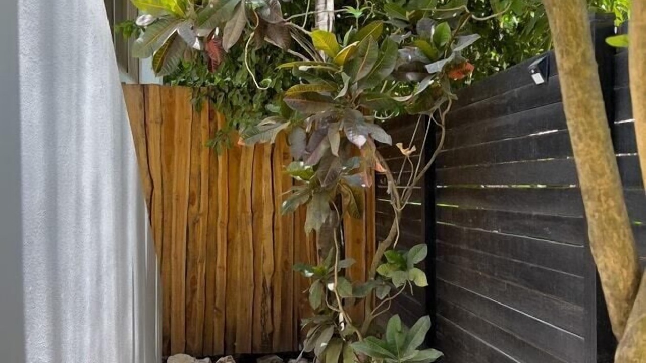 Photo of Outdoor in Nosara
