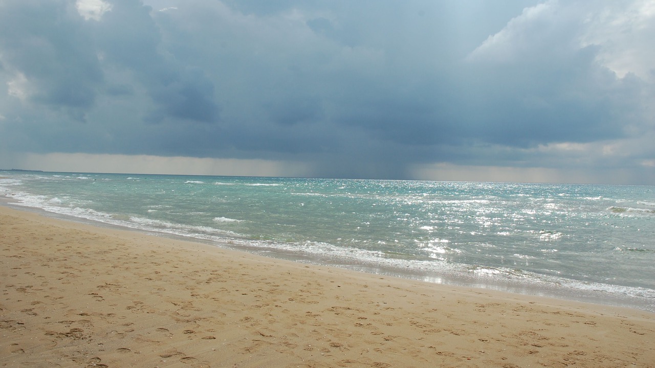 Photo of Others in Haifa