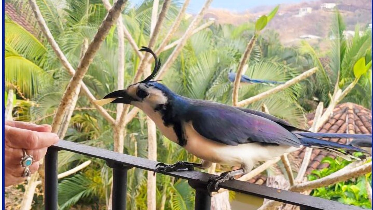 Photo of Outdoor in Liberia