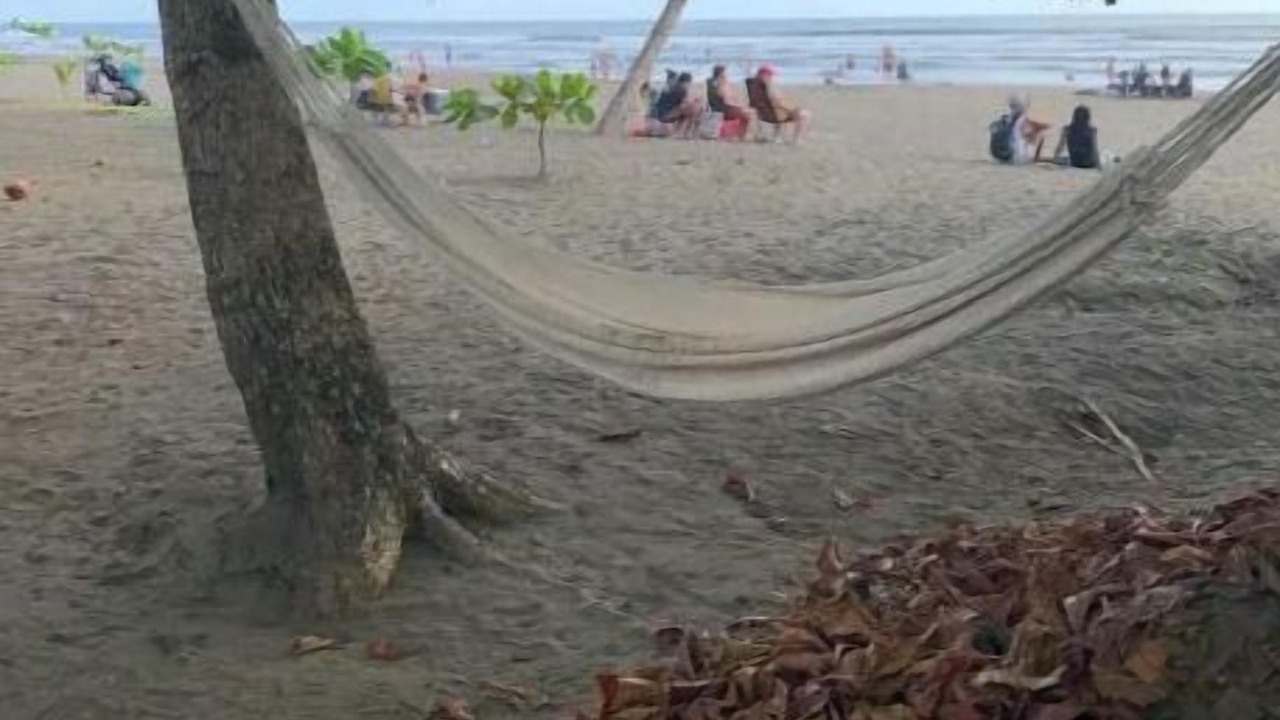 Photo of Others in Parrita