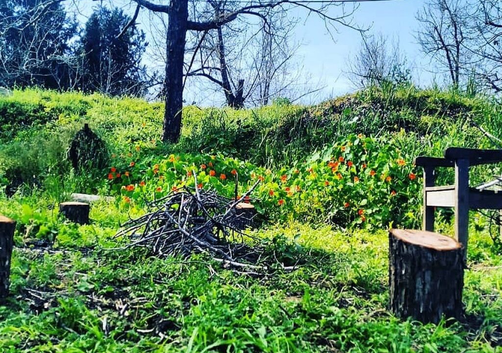 Photo of Outdoor in Savyon