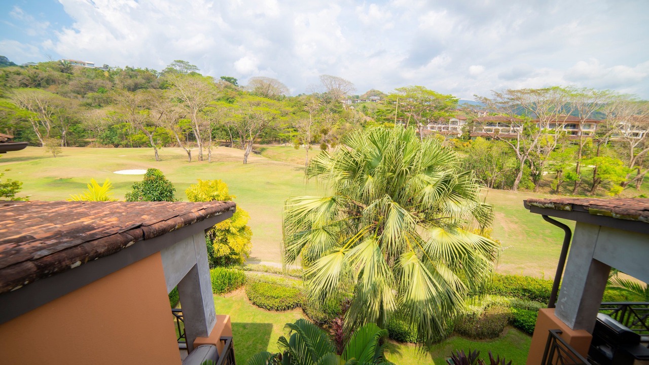 Photo of Outdoor in Herradura