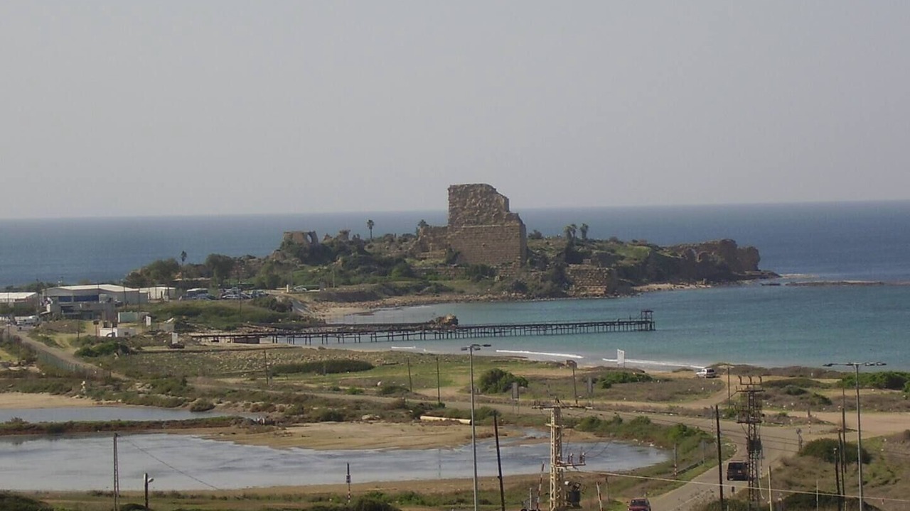 Photo of Others in Atlit