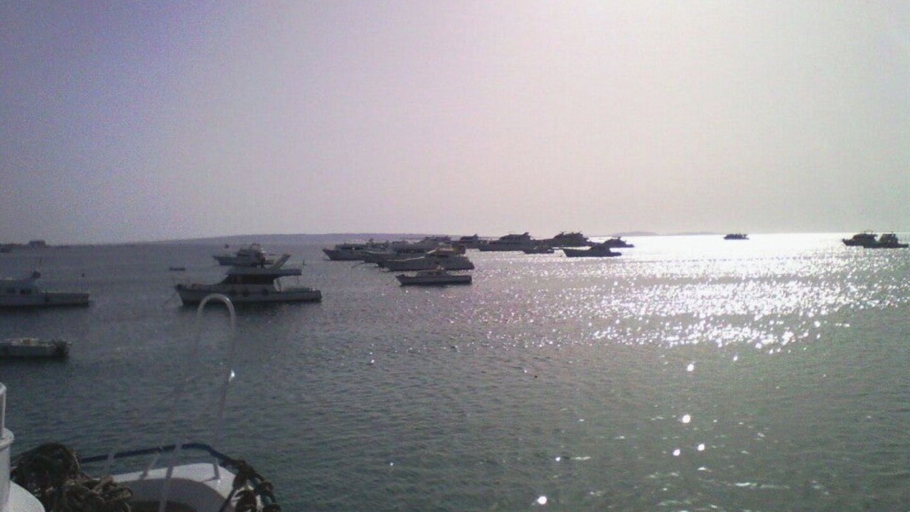 Photo of Others in Al Mamsha El Seyahi