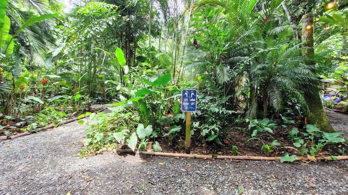 Photo of Outdoor in Chiguata