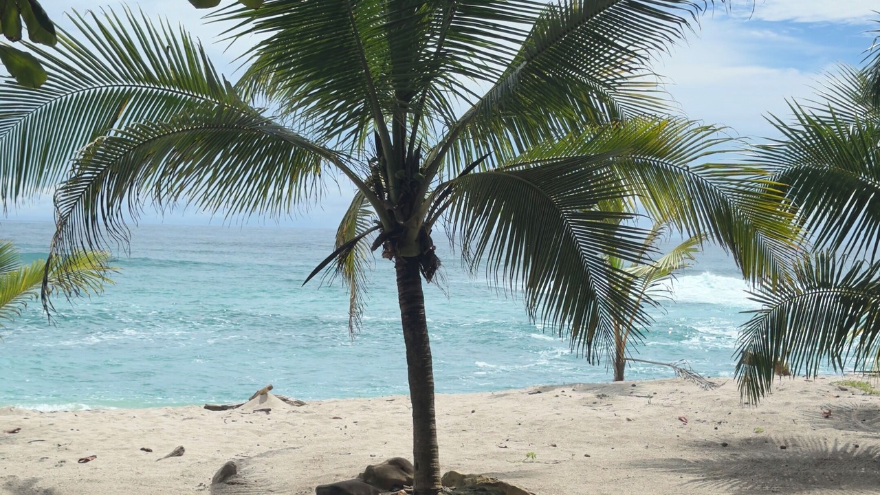 Photo of Others in Playa Santa Teresa