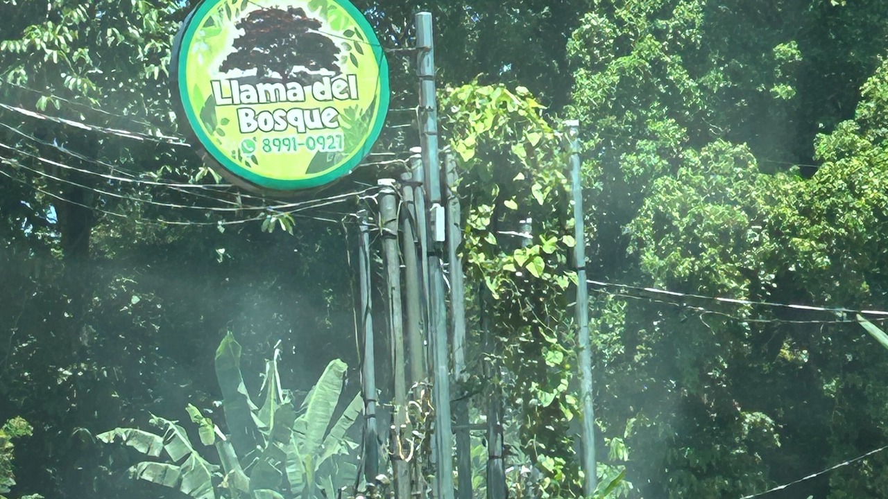 Photo of Others in Puerto Viejo de Talamanca