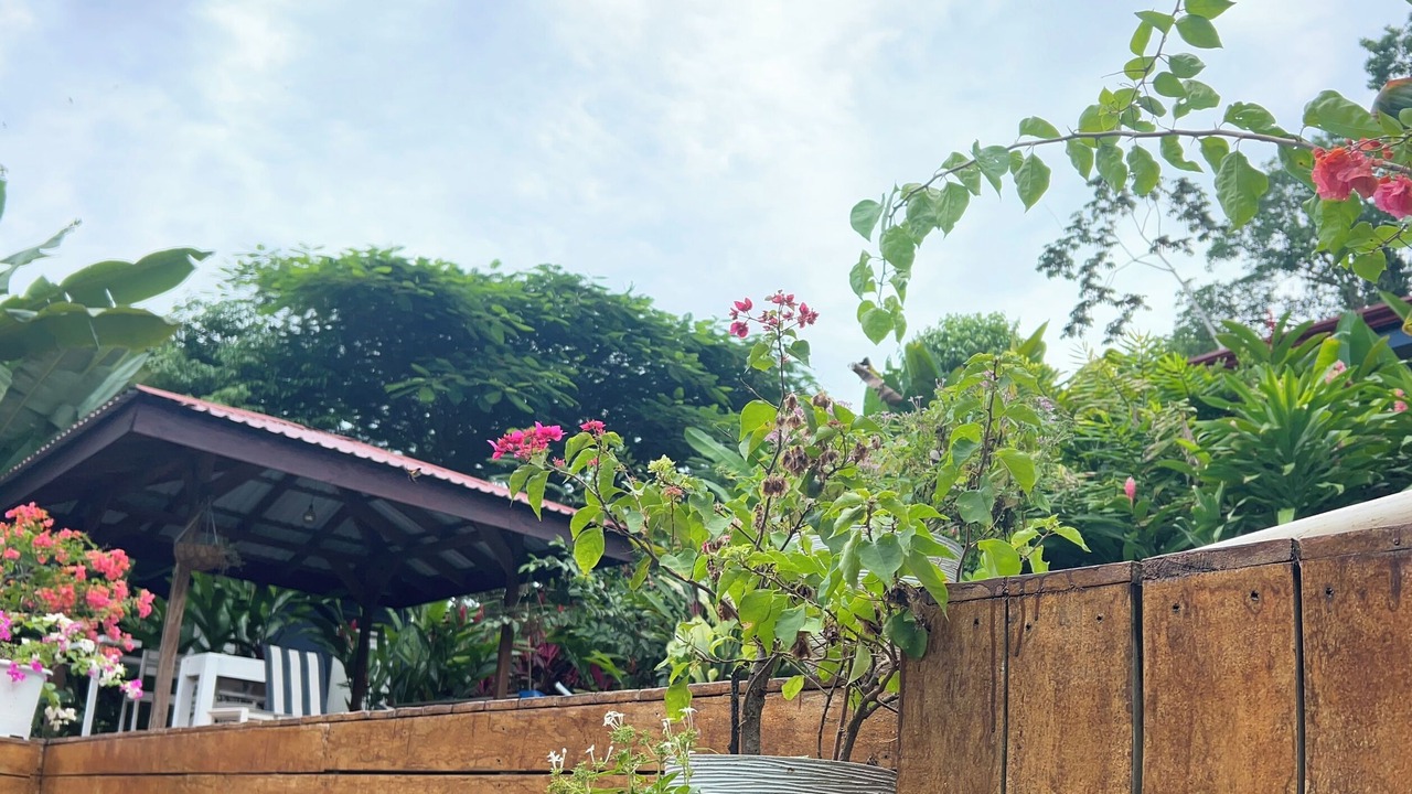 Photo of Outdoor in Puerto Viejo de Talamanca