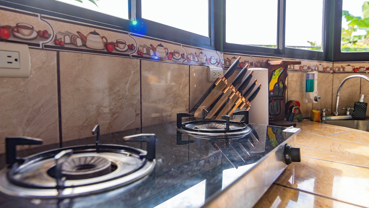 Photo of Kitchen in La Fortuna