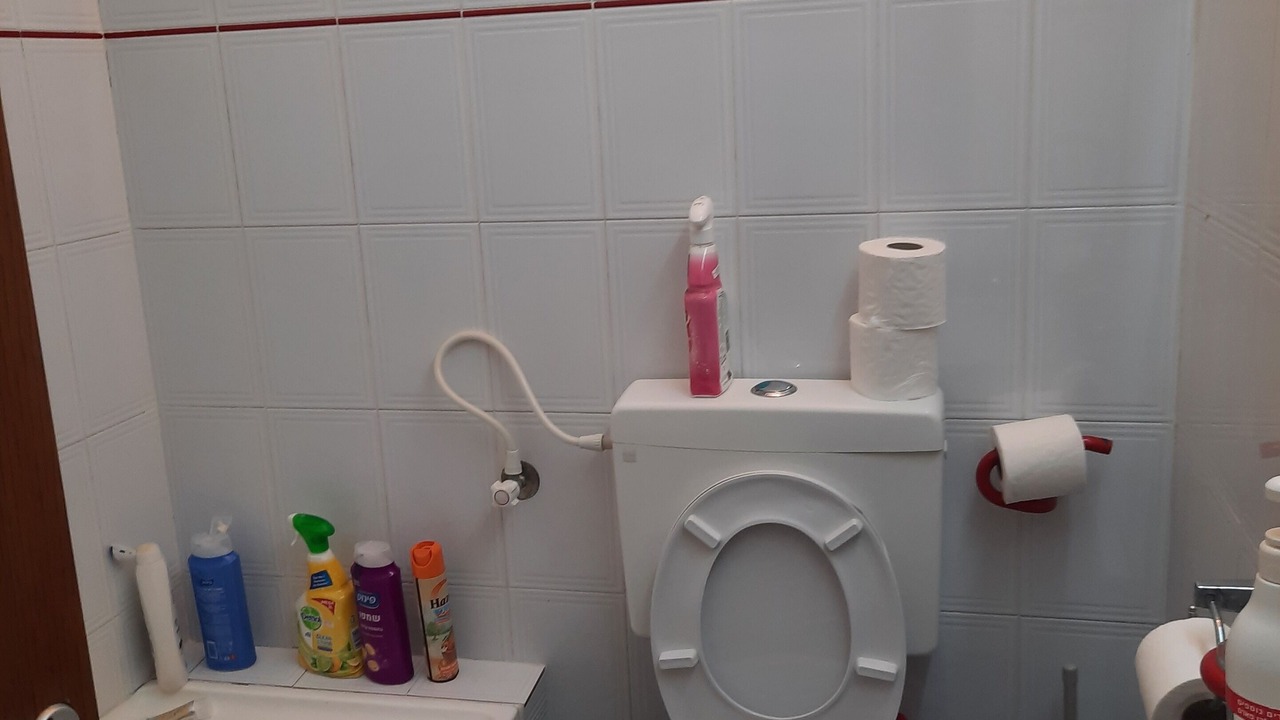 Photo of Bathroom in West Bank
