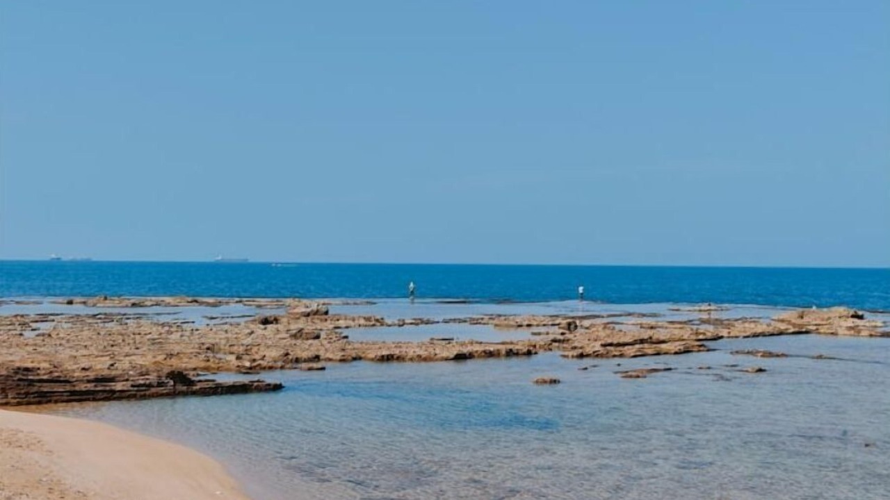 Photo of Others in Acre