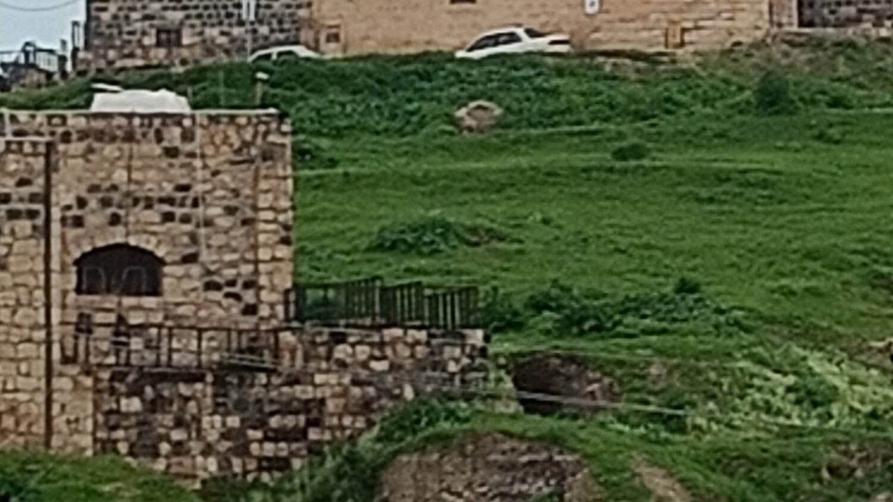Photo of Others in Umm Qais