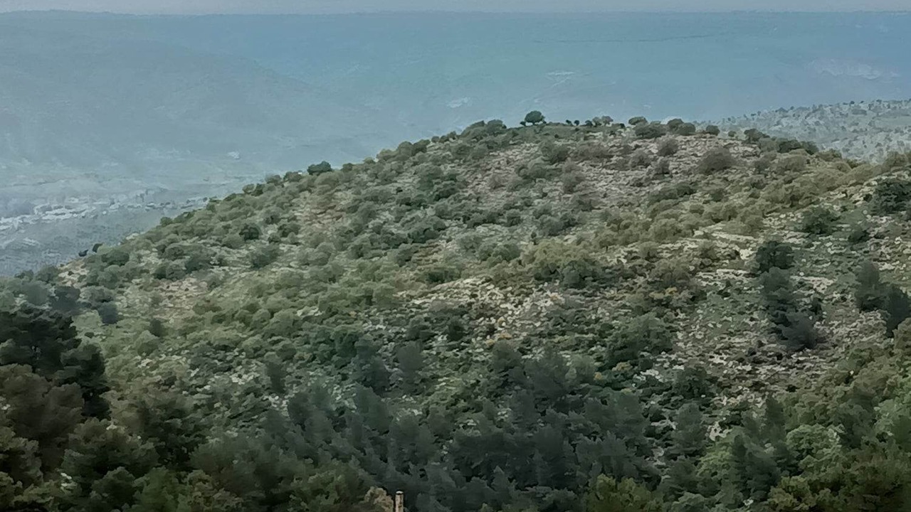 Photo of Others in Umm Qais