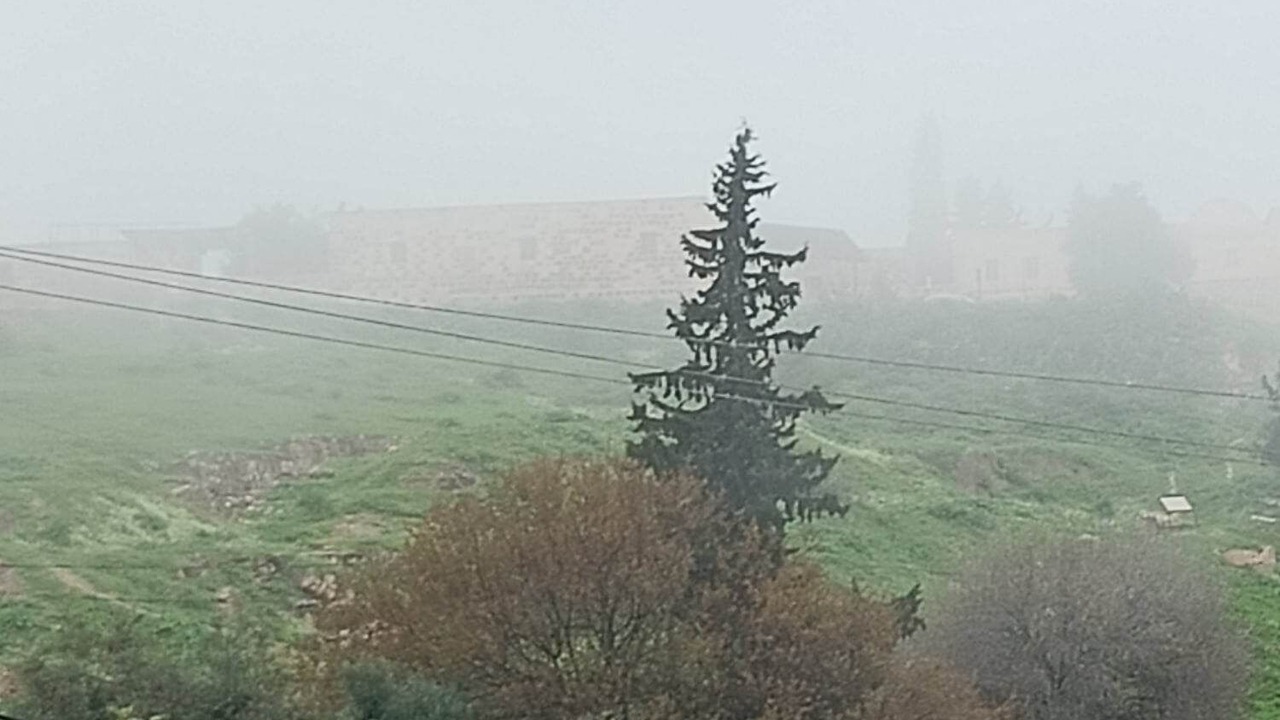 Photo of Others in Umm Qais