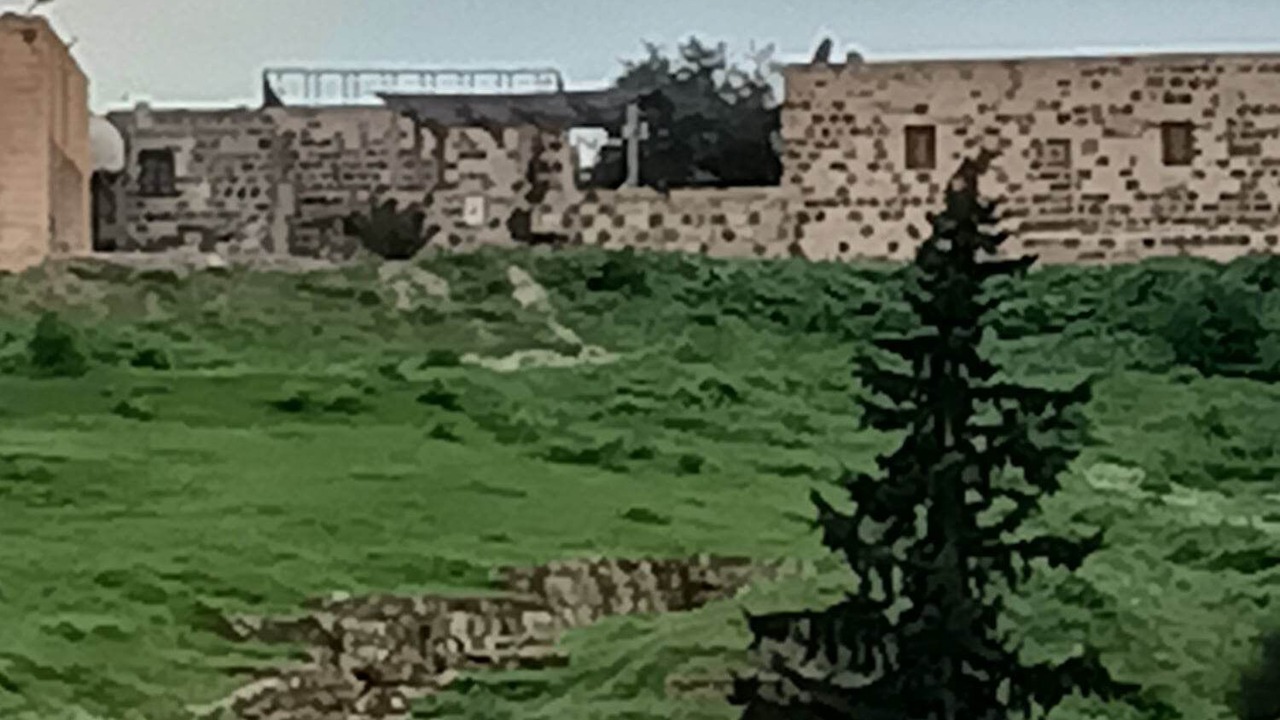 Photo of Others in Umm Qais