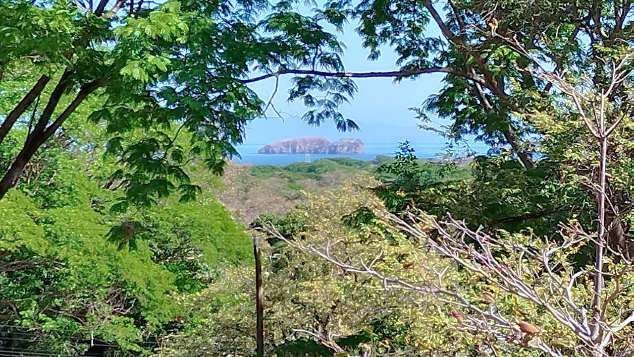 Photo of Outdoor in Coco