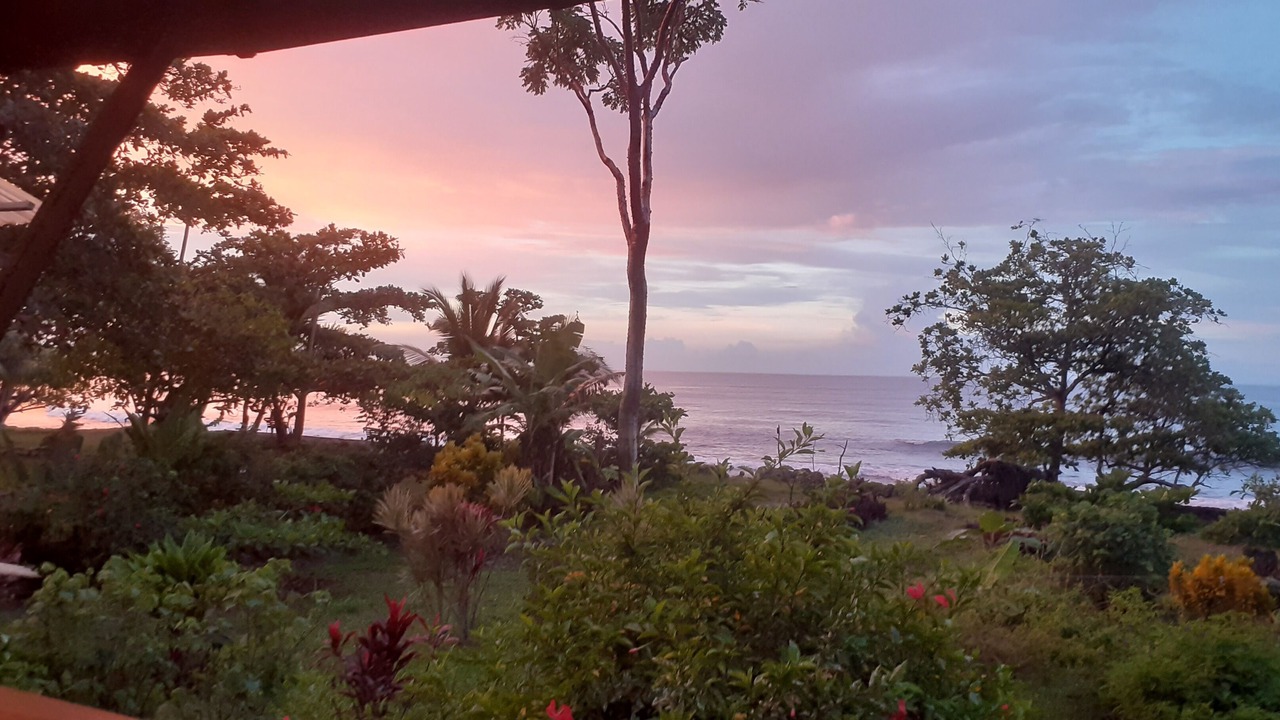 Photo of Outdoor in Cahuita
