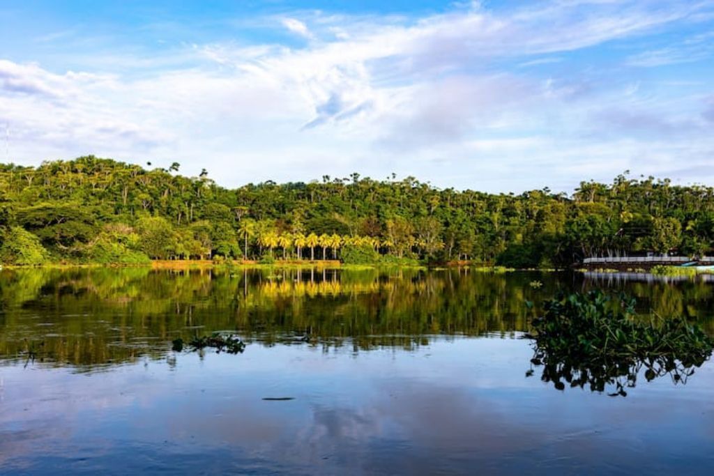 Photo of Outdoor in Sierpe