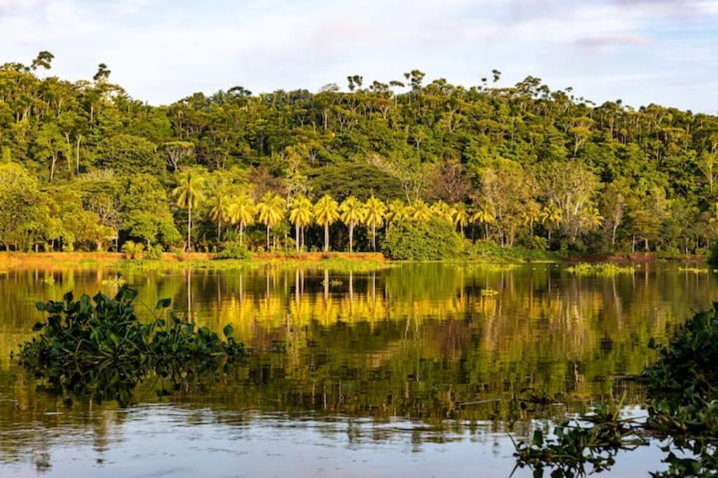 Photo of Outdoor in Sierpe