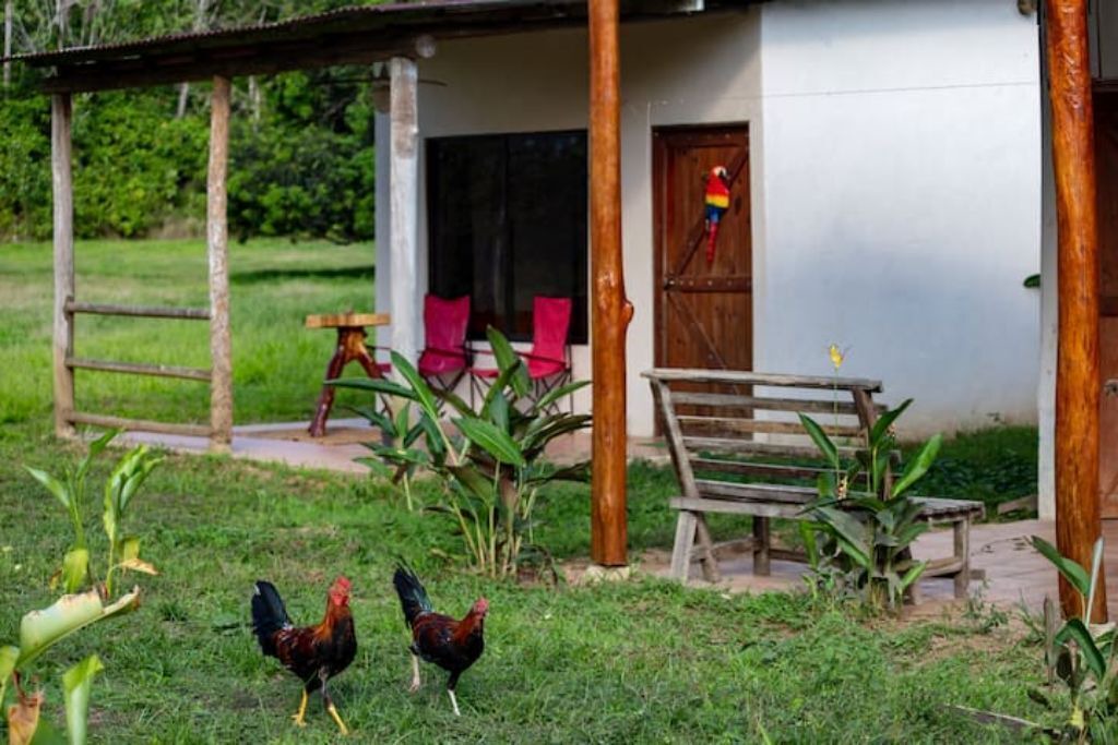 Photo of Outdoor in Sierpe