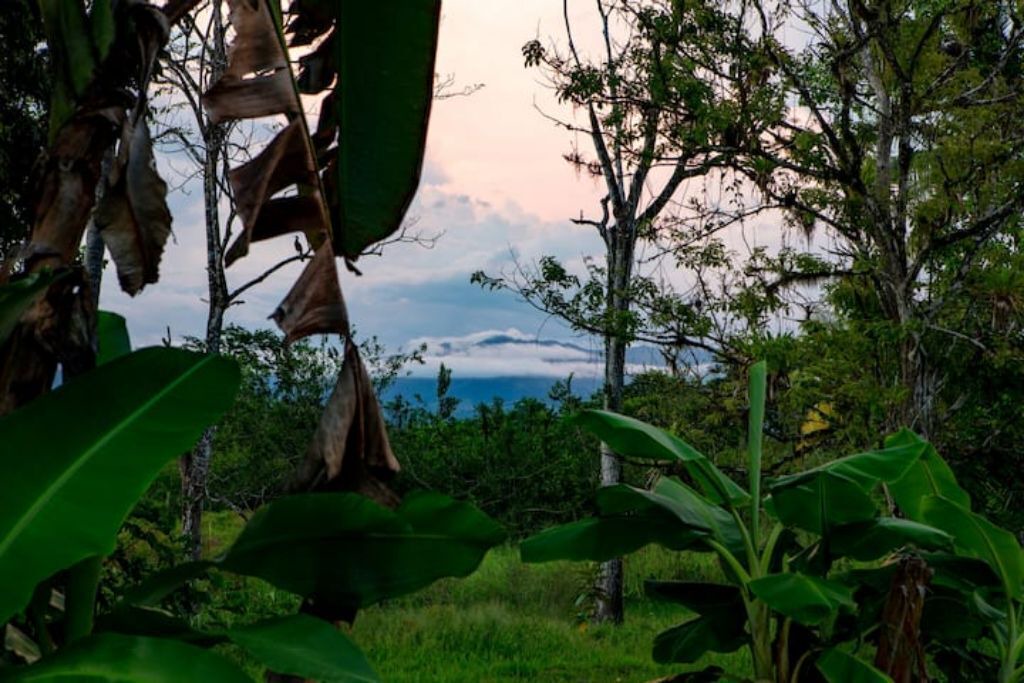 Photo of Outdoor in Sierpe