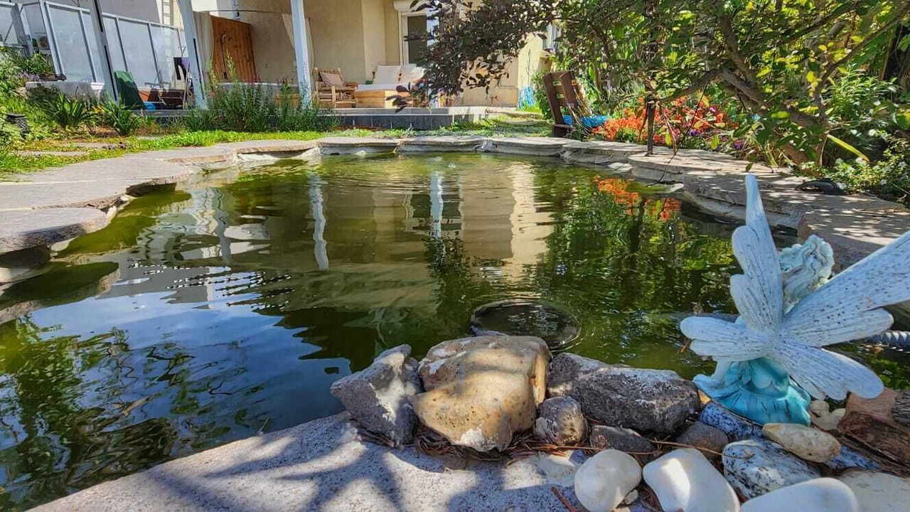 Photo of Outdoor in Vered Hagalil