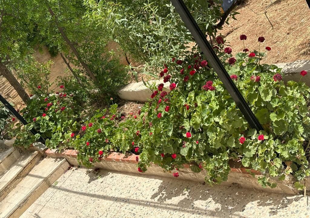 Photo of Outdoor in Jerash