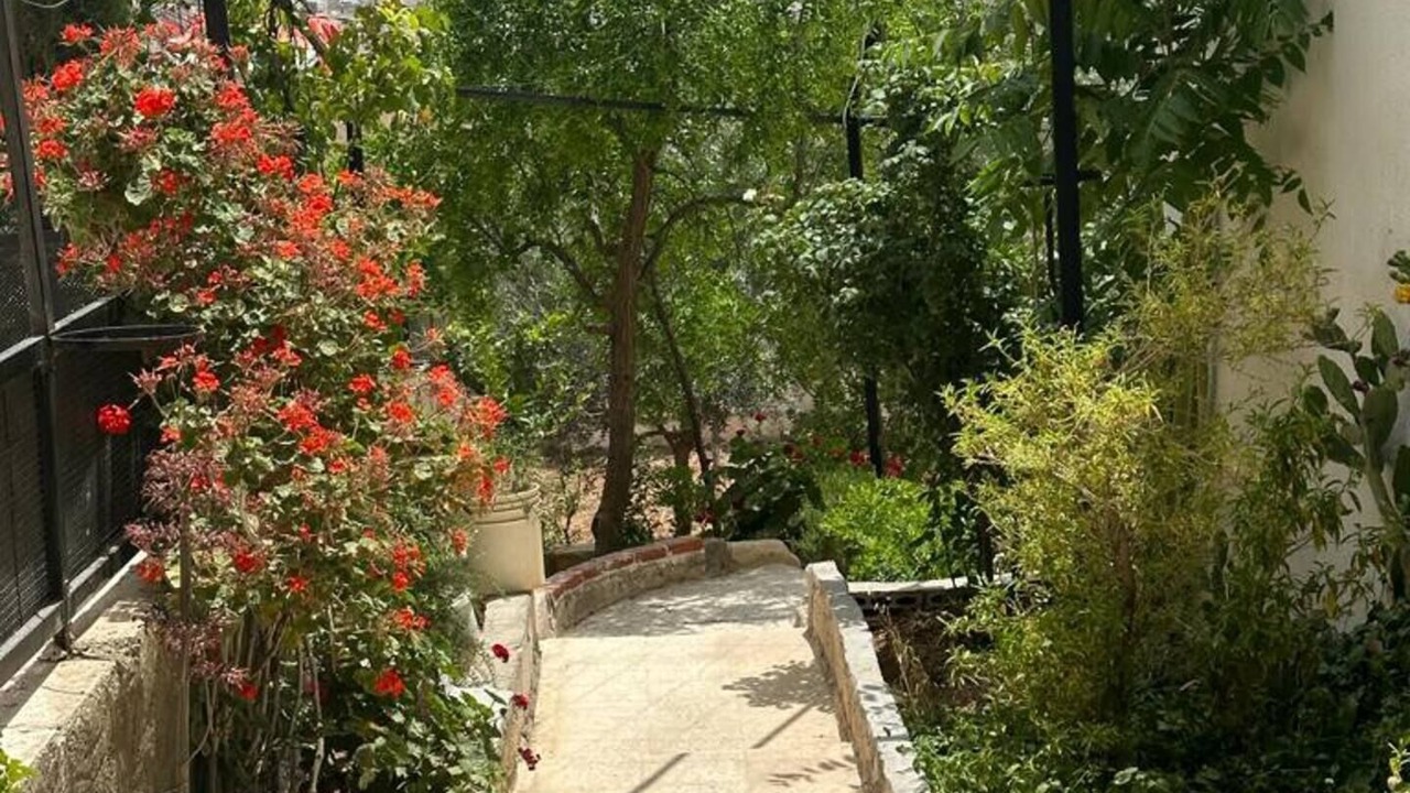 Photo of Outdoor in Jerash