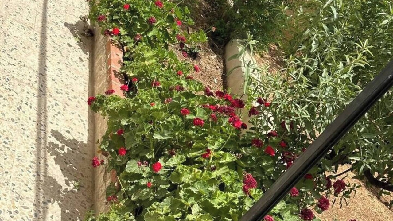 Photo of Outdoor in Jerash