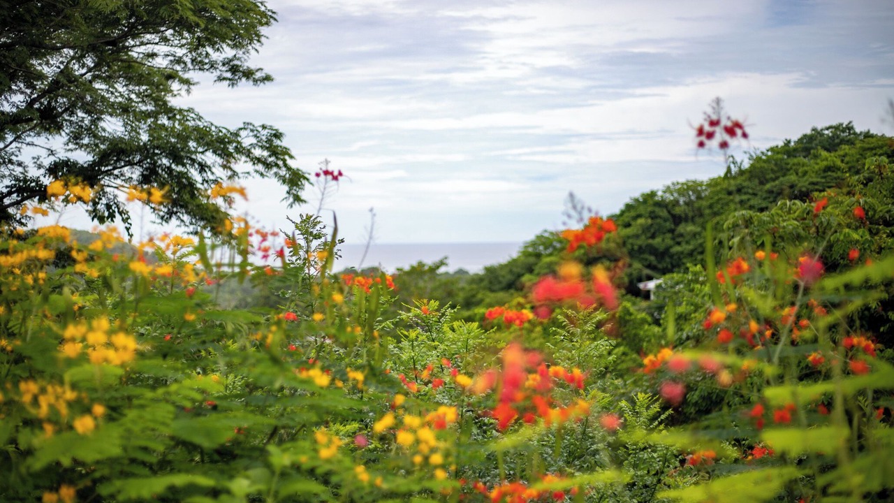 Photo of Outdoor in Garza
