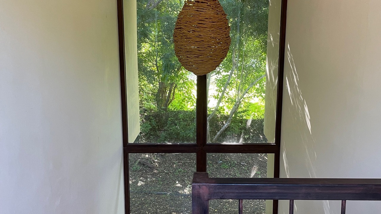 Photo of Others in Tamarindo