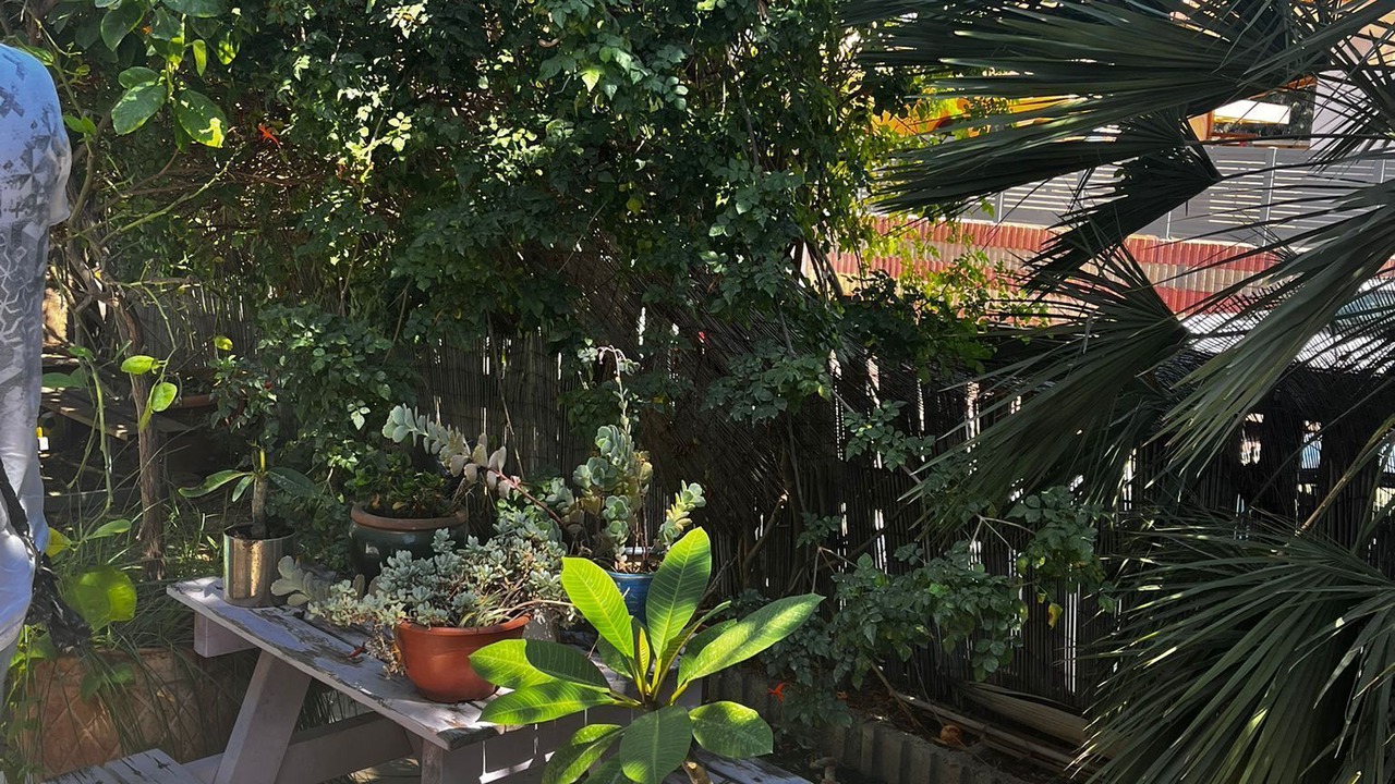 Photo of Patio Balcony in Bet Hananya