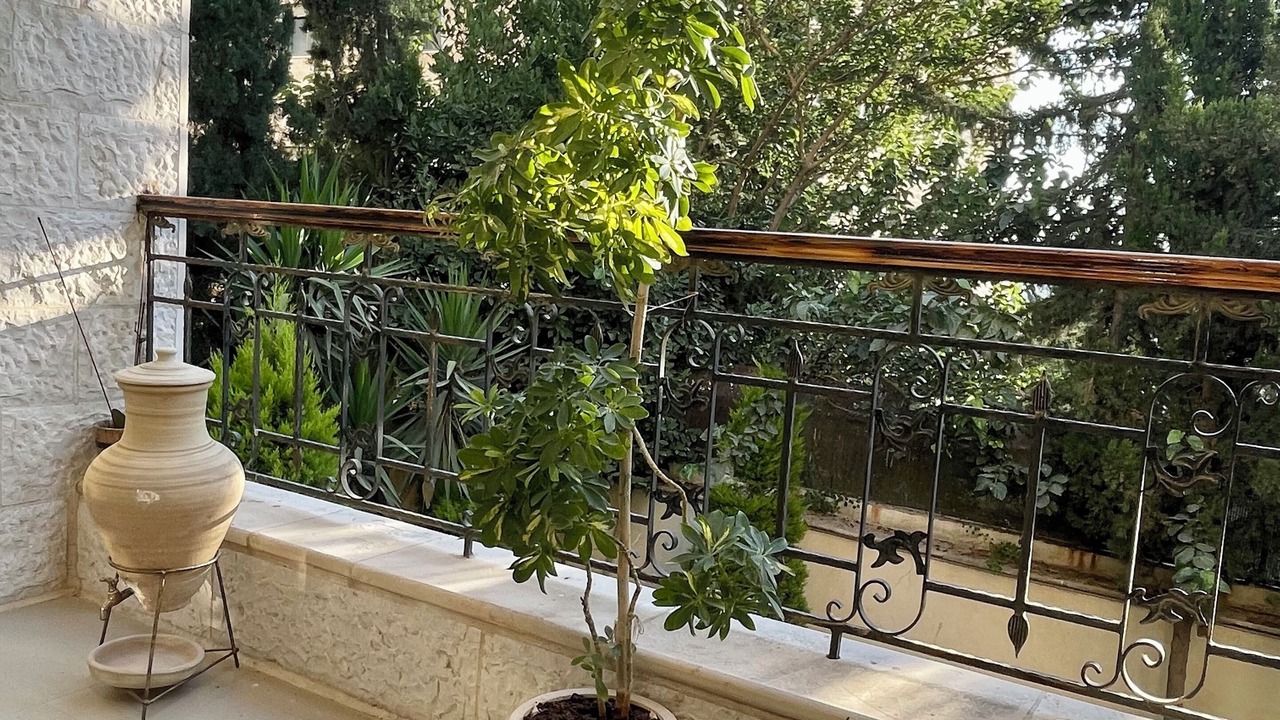 Photo of Outdoor in Amman