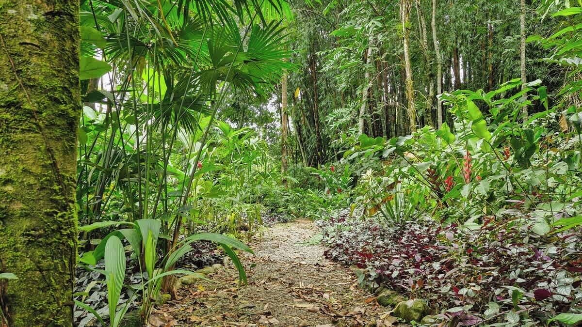 Photo of Outdoor in Manzanillo