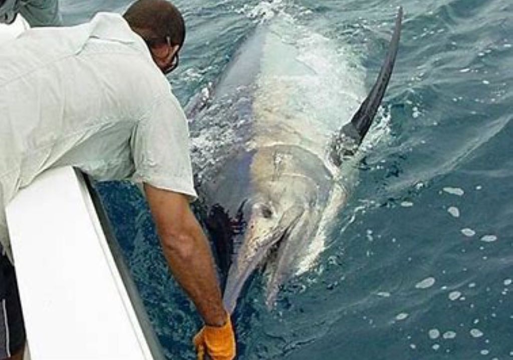 Photo of Others in Jaco