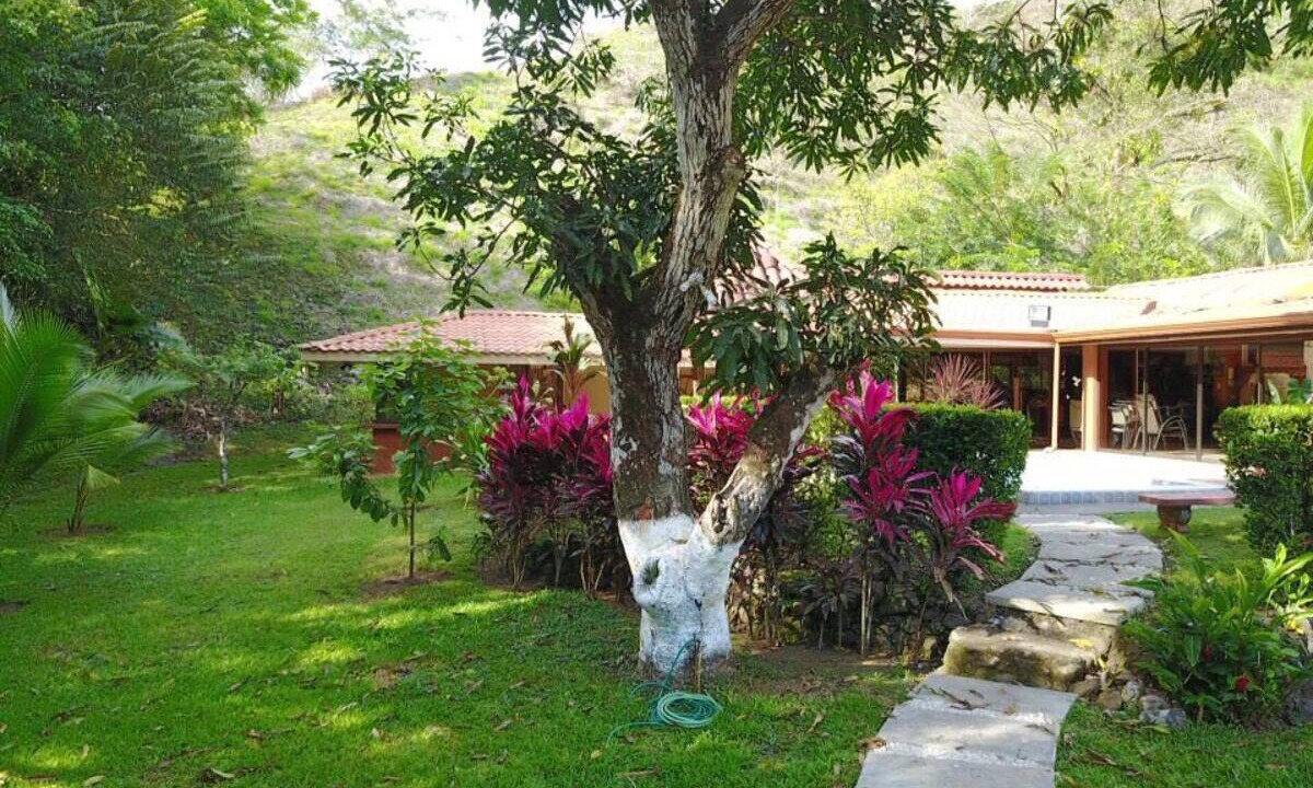 Photo of Others in Jaco