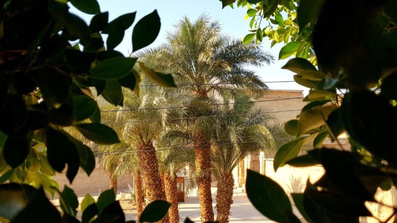 Photo of Outdoor in Luxor