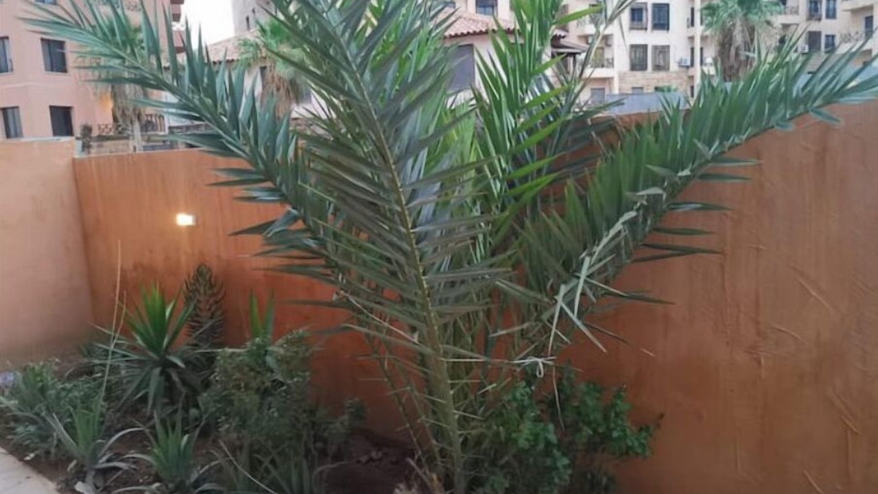 Photo of Outdoor in Salt